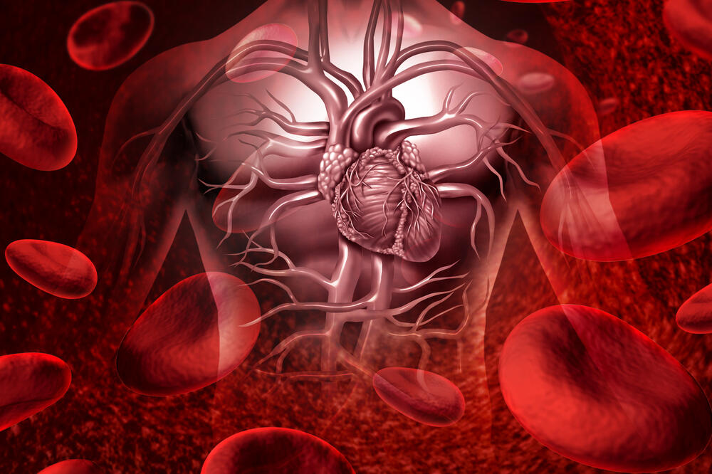 Nutrisi Alami yang Membantu Melancarkan Sirkulasi